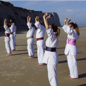 aikishintaiso